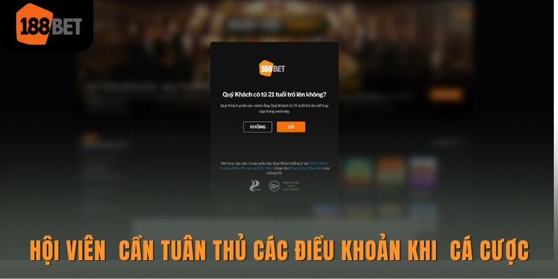 Hội viên của 188BET cần tuân thủ các điều khoản khi tham gia cá cược 